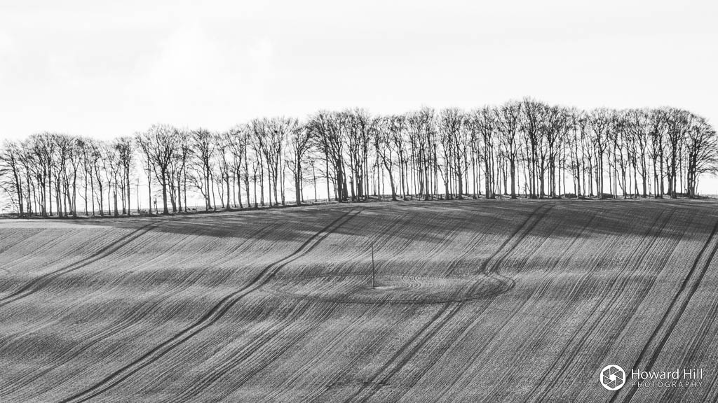 The ridge at Letcombe Bassett