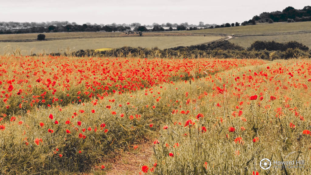 Towards Lambourn