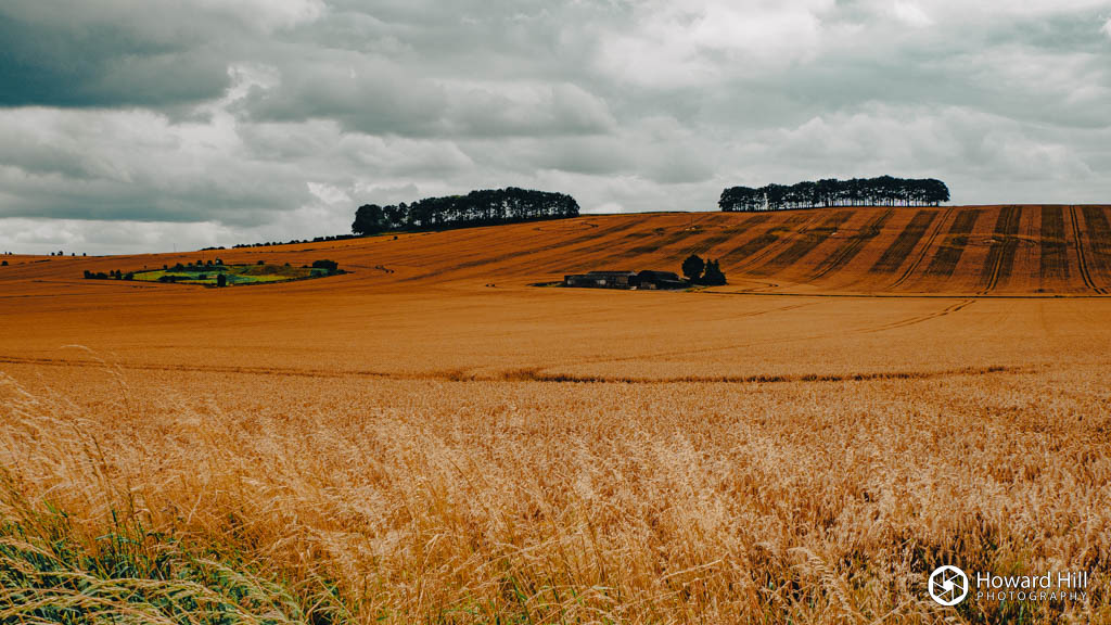 Near Letcombe Bassett