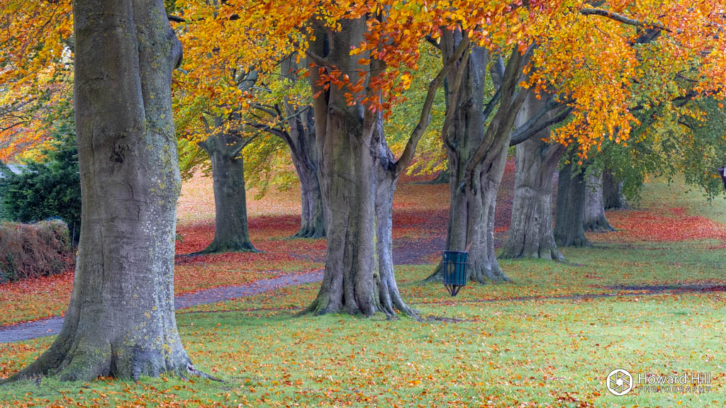 Autumn in Wantage Park