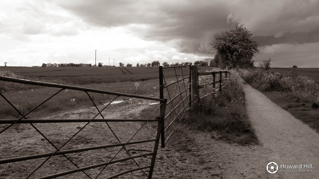 Looking West to Wantage